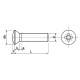 La vis 6X60 tête fraisée bombée pozidriv pour empreinte pozi et tounevis cruciforme conforme à la norme DIN 966 et ISO 7044