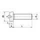 Cette vis à métaux 2X3 est équipée d'une tête cylindrique fendue pour tournevis plat conforme à la norme DIN 84 et ISO 1207